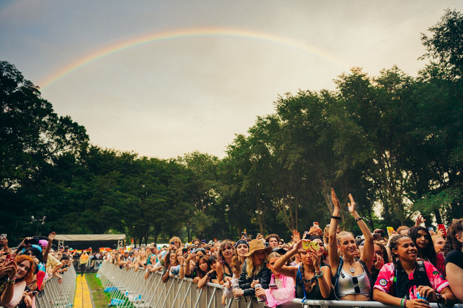 Lollapalooza BehindtheScenes Interviews and Stunning Photographs