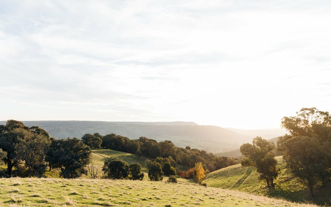 The Town of Yackandandah: Community Renewable Grids and Future Prospects